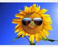 Bild: Thaut Images/Adobe Stock
Sommer, Sonne, Freizeitspaß