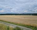 Bild: sne
Auf einer Fläche nördlich des Netzabergs in der Gemeinde Eschenbach ist eine Agri-PV-Anlage geplant. Der Stadtrat Grafenwöhr sieht dies kritisch.