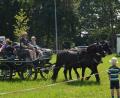 Archivbild: dob
Auch heuer gibt es wieder das Angebot der Pferdefreunde im Grenzland Vohenstrauß zu Kutschenfahrten oder Ponyreiten.