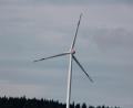 Bild: kro
Das Thema Windkraft lässt die Marktgemeinde Fuchsmühl nicht los. In der jüngsten Sitzung diskutierten die Räte erneut darüber.