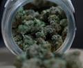 Symbolbild: Paul Sancya/AP/dpa
3 Jahre Haft für einen 26-jährigen Eschenbacher: Er vertrieb ab Mitte Juli 2024 Marihuana.
