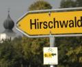 Archivbild: Petra Hartl
Hier geht's lang: Im Hirschwald, zwischen Köfering und Waldhaus, soll ein neuer Windpark entstehen.