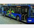 Archivbild: Andreas Royer
Die Rosenberger Straße in Sulzbach-Rosenberg ist ab Montag gesperrt, weshalb Ersatzhaltestellen für den Busverkehr eingerichtet werden.