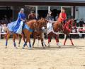 Bild: whü
50 Jahre Reitclub am Kulm. Zum Jubiläum gab es ein umfangreiches Programm. Unter anderem die Damenquadrillie "Die 4 Elemente" mit Eva Lohner, Katrin Rauch, Annalena Kleinhempel und Juliana Schertel.