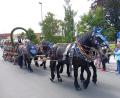 Bild: Oswald Zintl
Der Hingucker beim Festzug: Vier Pferde zogen diesen Dameradl-Zoigl-Wagen. Festorganisator Bernd Aßmann (rechts) hatte vorne beim Kutscher Platz genommen.
