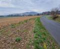 Bild: Gottfried Blank
Der "Solarpark Berg" soll beim Ortsbereich Berg errichtet werden, die beiden Grundstücke sind durch die Gemeindeverbindungsstraße getrennt