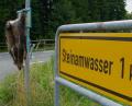 Bild: Emil Jenne, Verlag Mensch und Gedanke
Bei der Abzweigung nach Steinamwasser hing der tote Dachs an einem Verkehrsschild.