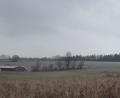 Bild: Ernst Frischholz
Rechts oben am Wald ist der Solarpark geplant. Links befindet sich das der Anlage am nächsten liegende Roschauer Anwesen.
