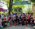 Bild: Franz Pretzl
Start über die 10 km beim Hammerseelauf in Bodenwöhr mit Sieger Markus Bergler (Nummer 385).