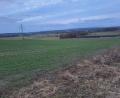 Bild: Gottfried Blank, exb
In Pischeldorf entstehen zwei Solarparks. Für Pischeldorf Süd ist ein Gebiet von 171 057 Quadratmetern vorgesehen.