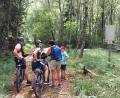 Bild: lg
Der drei Kilometer lange Lehrpfad wird mitunter auch per Mountain-Bike absolviert. Bei der Orientierung gibt es kein Problem.