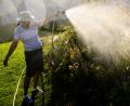 Symbolbild: Julian Stratenschulte/dpa
Der Sommer ist mit Temperaturen über 30 Grad zurück: Wie gießt man an solchen Tagen eigentlich seinen Garten richtig? Eine Expertin gibt Antworten.