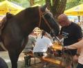 Bild: Christof Trösch
Über das "Pferd im Flur" staunten nicht nur die Gäste.