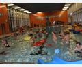 Archivbild: gi
Freuen dürfen sich alle „Wasserratten“, ob Schwimmer oder Nichtschwimmer, denn am Donnerstag, 21. August, wird das Ozon-Hallenbad in Moosbach wieder geöffnet.