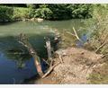 Bild: Wasserwirtschaftsamt Weiden
Ein Strömungslenker aus großen Steinen ist quer zur Fließrichtung bis etwa zur Flussmitte eingebaut. Die am Ufer eingebrachten Baumstämme und Wurzelstöcke, zu sehen im Bildvordergrund, bieten den Fischen zahlreiche Versteckmöglichkeiten.