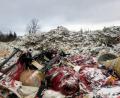 Bild: Jiříkov Mayor Barbora Šišková
Ein Bild von der Müllhalde in Jiříkov, das Bürgermeister Barbora Šišková aufgenommen hat. Die Bürgermeisterin stoppte damals die Lkw und löste den Skandal aus.