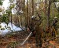 Bild: Xun Wei/XinHua/dpa
In Portugal gibt es eine leichte Entspannung bei den schweren Waldbränden. Noch aber sind rund 1.400 Feuerwehrleute im Einsatz.
