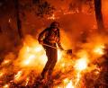 Bild: Noah Berger/AP/dpa
Flammen des Pickett-Feuers umzingeln einen Feuerwehrmann in Kalifornien.