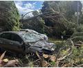 Bild: Alessio Marini/LPS via ZUMA Press Wire/dpa
Das Unwetter richtete erheblichen Sachschaden an.