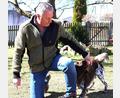 Bild: Edgar Wenisch/exb
Gerichtssachverständiger Edgar Wenisch mit seinem Gehölzpathogen- und Artenspürhund Jim.