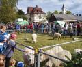 Bild: FGV-Ortsgruppe Brand
Das Schaffest zählt zu den größten Handwerker- und Bauernmärkten Nordostbayerns.