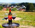 Bild: war
Mit Panoramablick auf Etzenricht – Hier befindet sich eine Station der erstmals organisierten Weinwanderung am Sonntag, 31. August. An diesem Platz werden Südtiroler Weine angeboten.