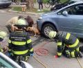 Bild: -/Berufsfeuerwehr München/dpa
Mit einem Hebekissen holte die Feuerwehr Hündin Cookie unter dem Auto hervor.