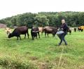 Bild: mzi
Die Tiere kennen Wolfgang Wiesent schon an der Stimme und kommen gerne angelaufen. Jedoch beschleunigt ein Leckerchen in Form von trockenen Semmeln oder Brezen das Ganze noch.