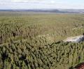 Archivbild: Beer
Der Wald, der dem Gewerbegebiet West IV weichen sollte, ist wieder Thema. Kann die Stadt ihn gegen die Flächen im fränkischen Steigerwald tauschen?