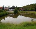 Bild: wel
Der Dorfweiher in Pirk soll als erster Weiher im Stadtgebiet ökologisch umgestaltet werden.