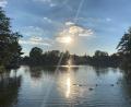 Archivbild: stg
Hier am Stadtweiher in Kemnath soll ein neues Wohnquartier entstehen: Doch es gibt offene Fragen zur Seepromenade.
