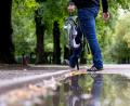 Bild: Sven Hoppe/dpa
Während Juni und August sehr trocken waren, fiel vor allem im Juli viel Regen.