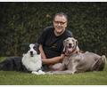 Foto: Hundefreunde Marktredwitz 
Bei den Marktredwitzer Hundefreunden steht der Spaß am Sport im Vordergrund.