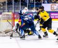Bild: Tobias Neubert
Thomas Rubes und die Blue Devils Weiden haben auch das dritte Testspiel für sich entschieden. Gegen Banik Sokolov gewann die Mannschaft von Sebastian Buchwieser mit 4:3.