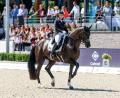 Bild: Lafrentz Stefan/dpa
Gold verpasst: Isabell Werth musste sich mit Bronze begnügen.