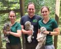 Bild: VLAB/exb
Veterinär Dr. Dominik Fischer hat mit seiner Frau Dr. Luisa Fischer (links) sowie Praktikantin Marie-Luise rund ein Dutzend Vögel mit Sendern ausgestattet.