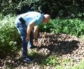 Bild: fz
"Sieben Zentner Kartoffeln", schätzt Rudolf Völkl. Illegal ausgekippt am Zottbach: Was Völkl aber am meisten aufregt: "Durchaus essbar."
