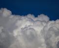 Bild: Robert Michael/dpa
Das Wetterphänomen La Niña hat in der Regel einen kühlenden Einfluss auf das Klima, während sein Gegenstück, El Niño, genau das Gegenteil bewirkt. (Symbolbild)