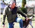 Bild: Wenisch/exb
Gerichtssachverständiger Edgar Wenisch mit seinem Gehölzpathogen- und Artenspürhund Jim.