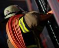 Symbolbild: Marijan Murat/dpa
Mehrere Kühe sind bei dem Brand gestorben. Einige Tiere hat die Feuerwehr aber retten können.