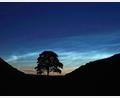 Bild: Owen Humphreys/PA Wire/dpa
Der Sycamore Gap Tree in England war einst ein beliebtes Fotomotiv. (Archivfoto)