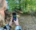 Bild: upl
Der Hohlweg, in dem der Täter die Leiche des Buben zum Wald getragen hat.