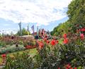 Bild: Portner
Die Landesgartenschau Furth im Wald punktet mit üppiger Bepflanzung (im Hintergrund die Park-Arena).