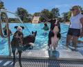 Bild: Alexandra Oppitz
Zwei- und Vierbeiner dürfen sich am 15. September im Freizeit- und Erholungsbad in Nittenau austoben.