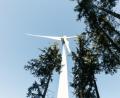 Bild: Sigrid Reinichs
In Lauterhofen im Landkreis Neumarkt sollen Windräder errichtet werden.