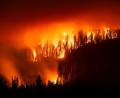 Bild: Noah Berger/FR34727 AP/AP/dpa
Das „Garnet Fire“ bedroht Riesenmammutbäume im Waldgebiet McKinley Grove.