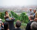 Bild: Daniel Vogl/dpa
Zwischen Reben in Würzburg wurde die fränkische Weinlese offiziell eröffnet.
