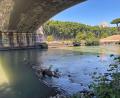 Bild: Robert Messer/dpa
Wer will hier ins Wasser? Das Schwimmen im Tiber soll künftig wieder möglich sein.