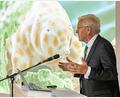 Bild: Philipp von Ditfurth/dpa
Winzig und doch bärenstark: Die neu entdeckte Bärtierchenart „Ramazzottius kretschmanni“.