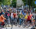 Bild: Armin Weigel/dpa
Fahrradräder statt Autos auf den Straßen: Eine Autofahrerin möchte das nicht akzeptieren. (Symbolbild)